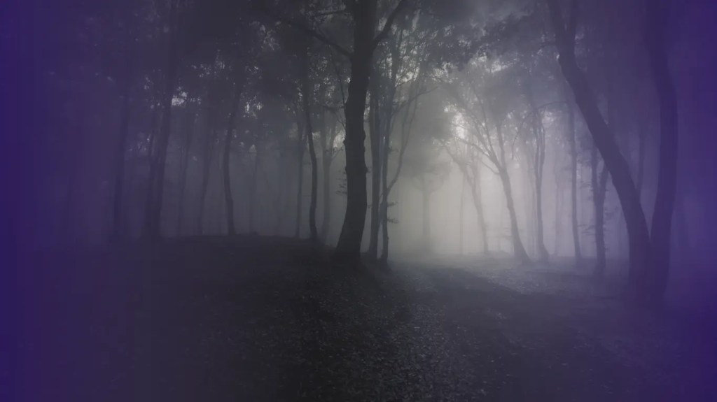 Welcome to Violet Lichen&nbsp;Books!